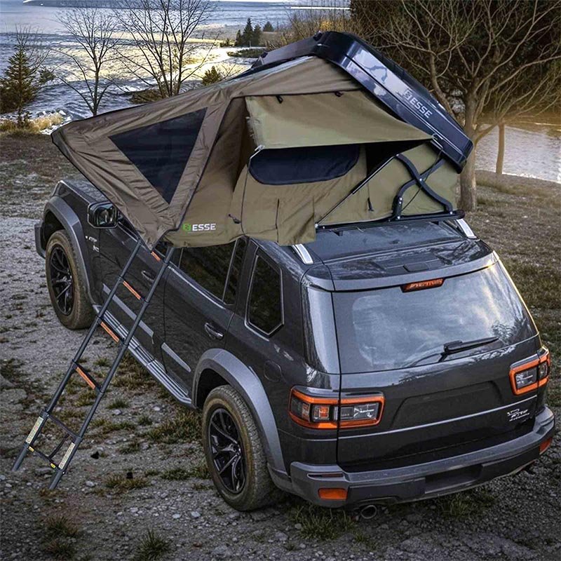 HARD SHELL DRAGON FLY - 1 HARD SHELL DRAGON FLY