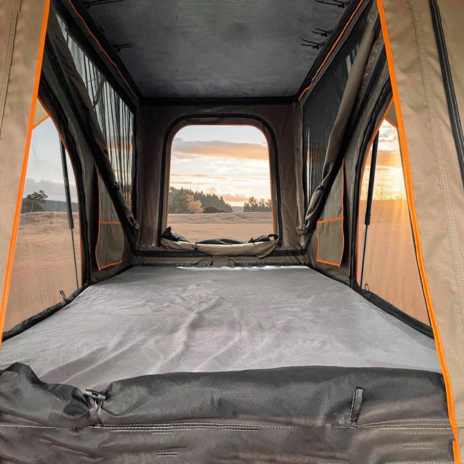 HARD SHELL BEAVER - 2