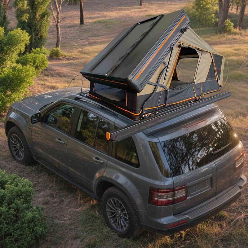 HARD SHELL RACCOON - 2